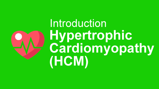 HCM Hypertrophic Cardiomyopathy