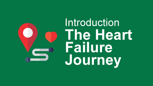 The Heart Failure Journey: An Introduction